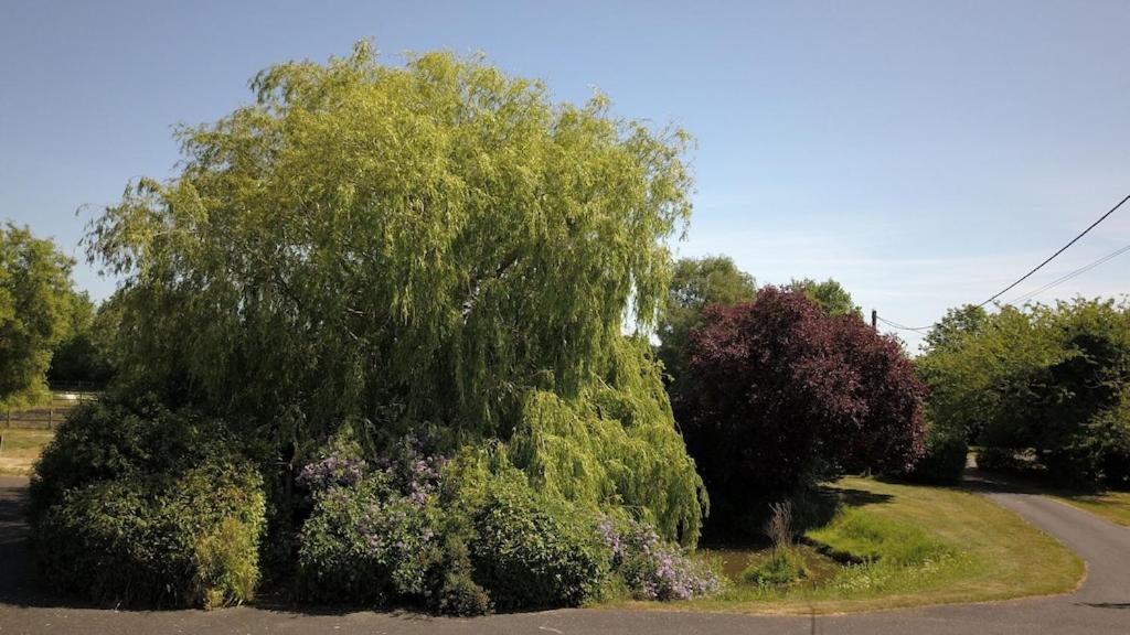 Paddock Barn ~ Short & Long Term Stay, Pets Welcome ~ Woodbridge, Framlingham Ar Cretingham Exterior foto