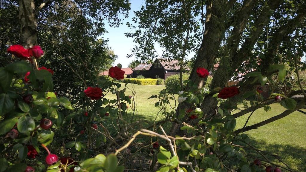 Paddock Barn ~ Short & Long Term Stay, Pets Welcome ~ Woodbridge, Framlingham Ar Cretingham Exterior foto